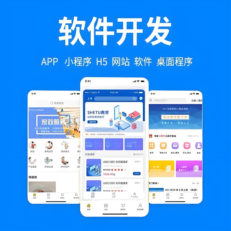 了解完整的软件开发流程，从需求分析到项目交付。